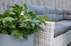 Merkloos Rivièra Original | Loungeset Hoekset Dining Set Tuinset | Wicker | Hoekbank, Hoge Tuintafel, 2 Hockers | 6 Zitplaatsen 8 Merkloos Rivièra Original | Loungeset Hoekset Dining Set Tuinset | Wicker | Hoekbank, Hoge Tuintafel, 2 Hockers | 6 Zitplaatsen -Meubel Verkoop 1200x793 5