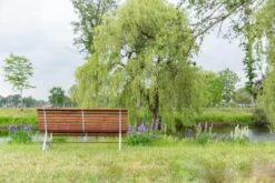 MaximaVida Tuinbank Budapest Oil 170 Cm - Uit Exclusief Mahoniehout 17 MaximaVida Tuinbank Budapest Oil 170 Cm - Uit Exclusief Mahoniehout -Meubel Verkoop 1200x800 109