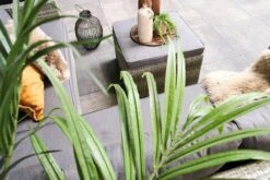 Fonteyn | Loungeset Connor | Melange -Meubel Verkoop 1200x800 342