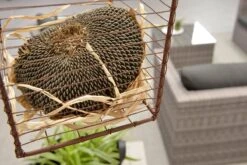 Garden Impressions Montana Loungeset - Organic Grey -Meubel Verkoop 1200x801 5