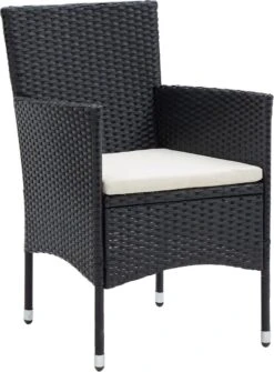 VidaXL 5-delige Tuinset Met Kussens Zwart -Meubel Verkoop 886x1200 2