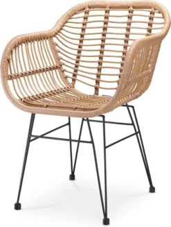 Casaria Polyrotan Kuipstoel Bali - Met Kussens – 2 Stuks -Meubel Verkoop 907x1200